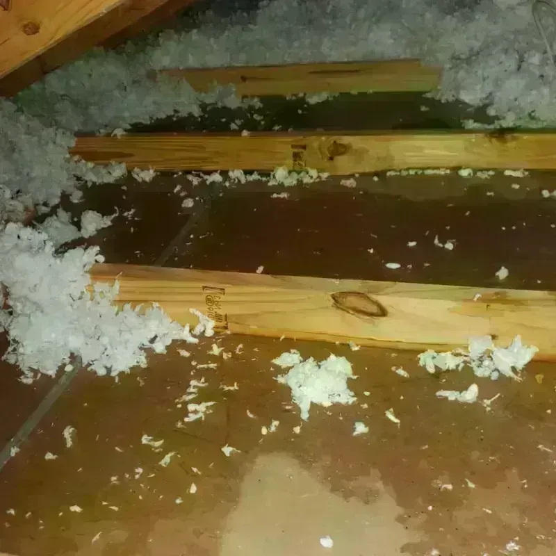 Attic Water Damage in Yellow Medicine County, MN