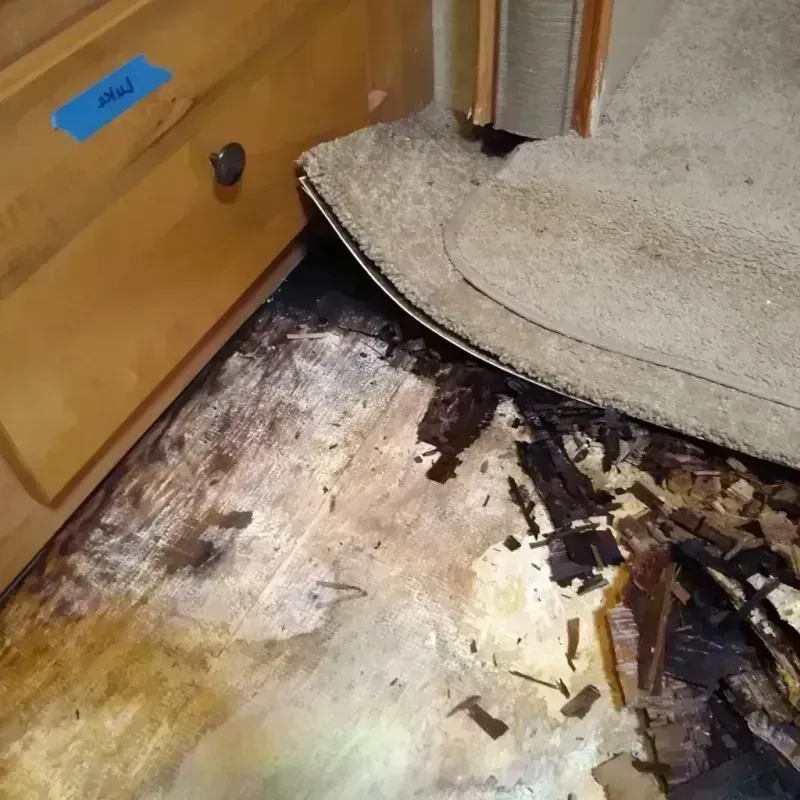 Wood Floor Water Damage in Yellow Medicine County, MN